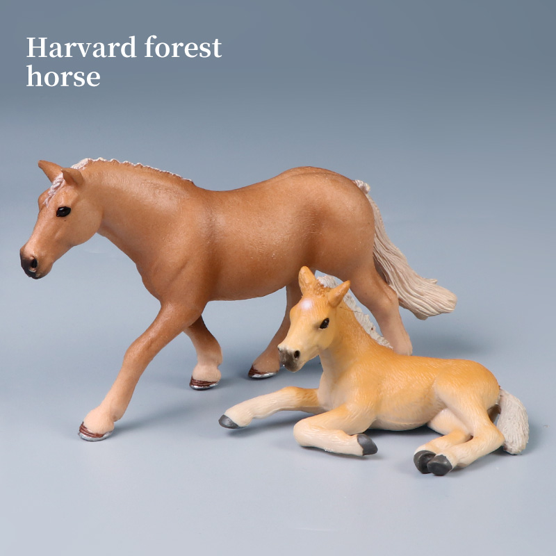 Winged Steed Model Action Figu - Kids Educational Box avaliação e preço