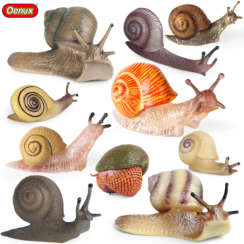 Oenux Wild Insect Animals Snai - Kids Educational Box avaliação e preço