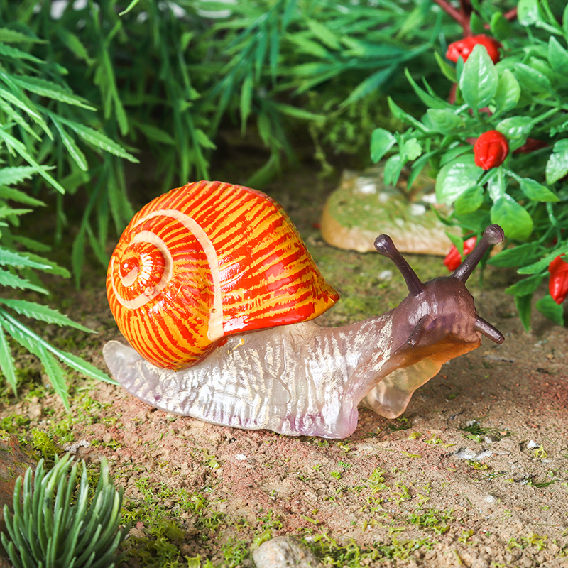 Oenux Wild Insect Animals Snai - Kids Educational Box avaliação e preço