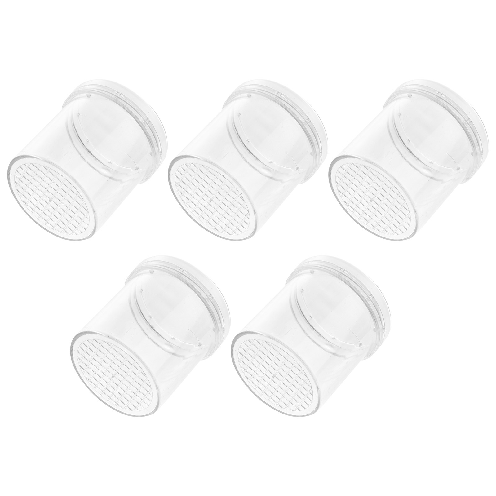 5Pcs Insect Viewer Box Kids Ex - Kids Educational Box avaliação e preço