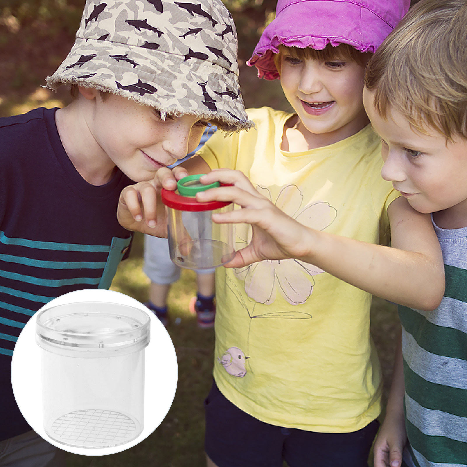 5Pcs Insect Viewer Box Kids Ex - Kids Educational Box avaliação e preço