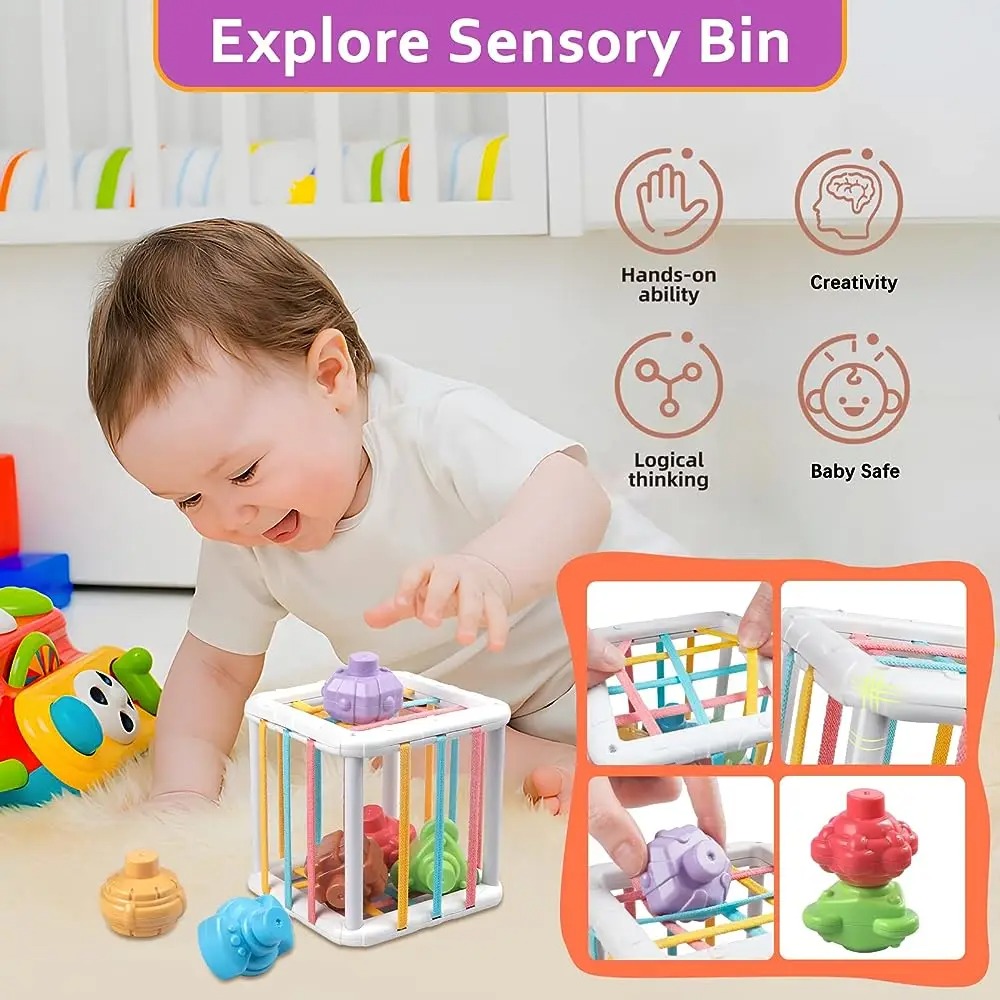 Rainbow Colorful Montessori Sh - Kids Education Toy avaliação e preço