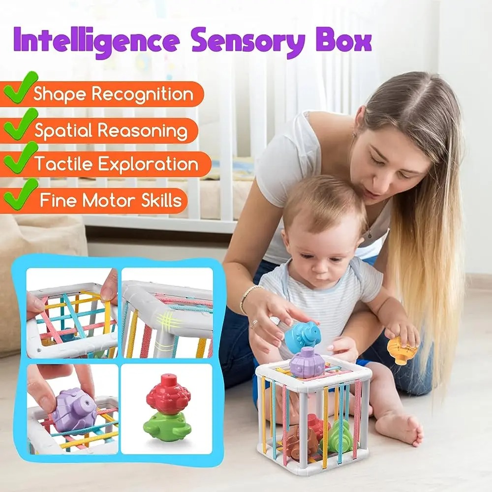 Rainbow Colorful Montessori Sh - Kids Education Toy avaliação e preço