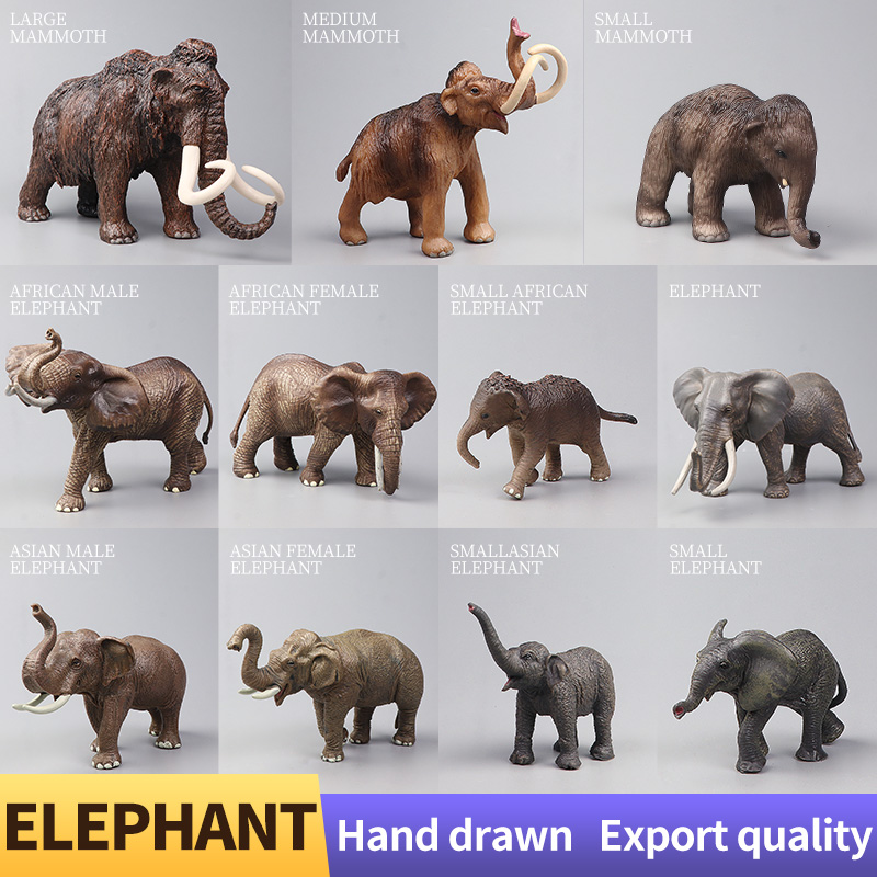 African Wild Animals Big Mammo - Kids Educational Box avaliação e preço